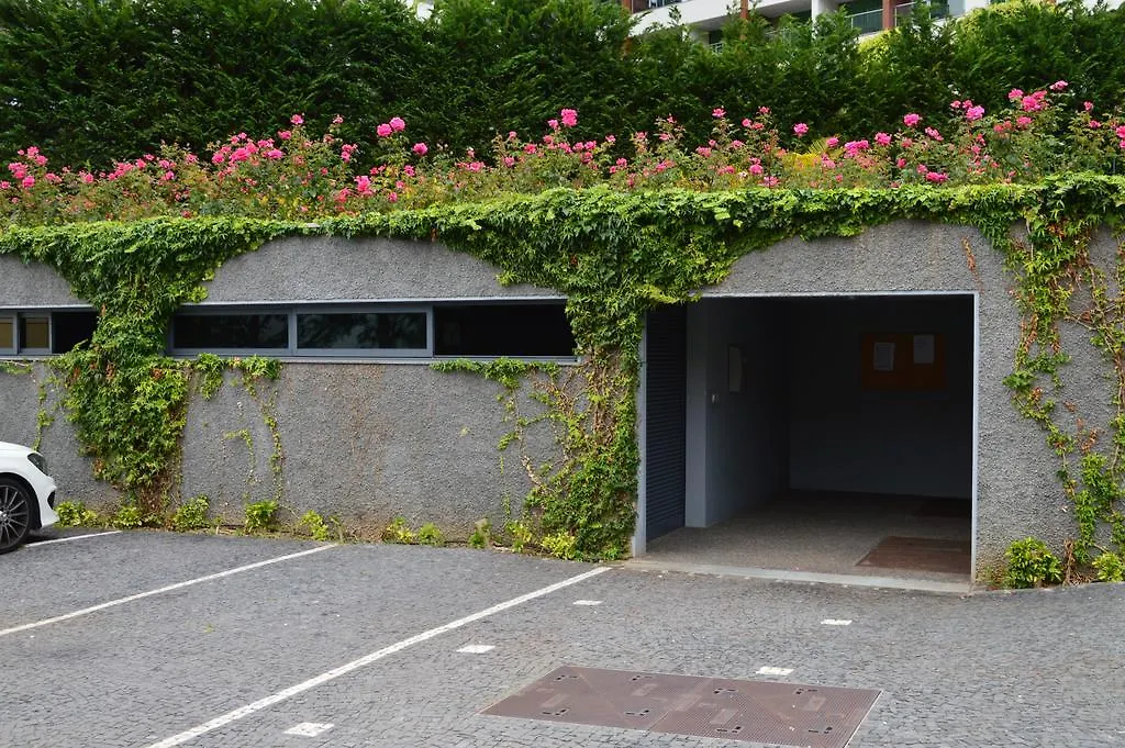Peaceful Apartment Funchal